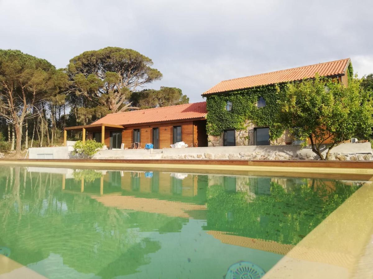 Villa Casas Do Pinheiro Grande Fornos de Algodres Exterior foto